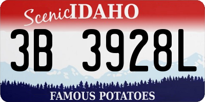 ID license plate 3B3928L