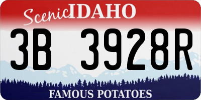 ID license plate 3B3928R