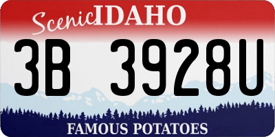 ID license plate 3B3928U