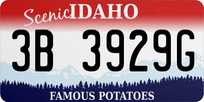 ID license plate 3B3929G