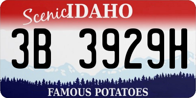 ID license plate 3B3929H