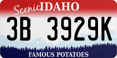 ID license plate 3B3929K
