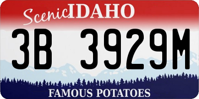 ID license plate 3B3929M