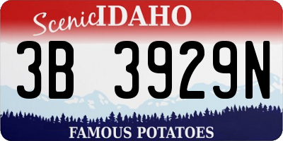 ID license plate 3B3929N
