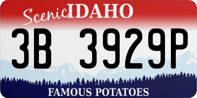 ID license plate 3B3929P