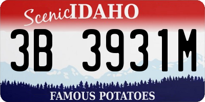 ID license plate 3B3931M