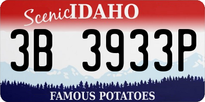 ID license plate 3B3933P