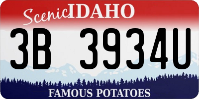 ID license plate 3B3934U