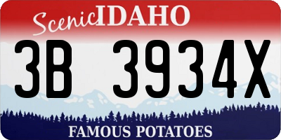 ID license plate 3B3934X
