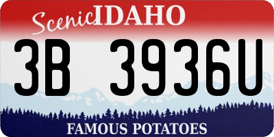 ID license plate 3B3936U