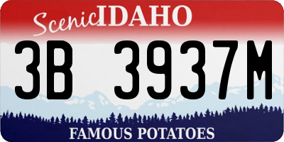 ID license plate 3B3937M
