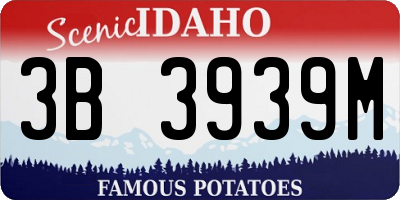 ID license plate 3B3939M
