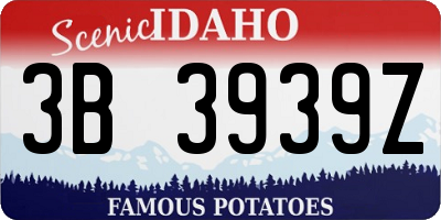 ID license plate 3B3939Z