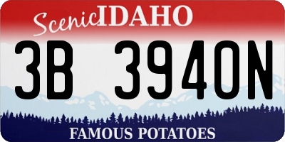 ID license plate 3B3940N