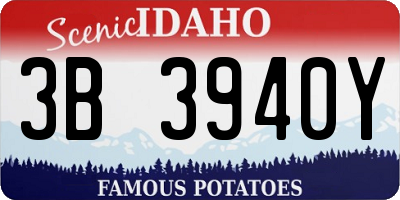 ID license plate 3B3940Y