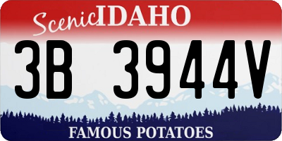 ID license plate 3B3944V