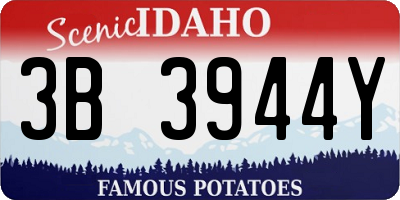 ID license plate 3B3944Y