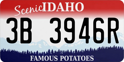 ID license plate 3B3946R