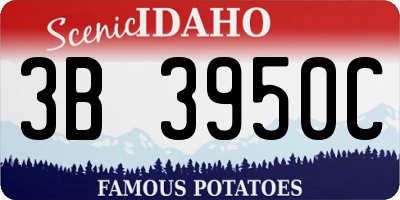 ID license plate 3B3950C