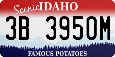 ID license plate 3B3950M