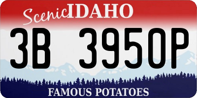 ID license plate 3B3950P