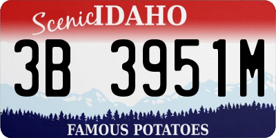 ID license plate 3B3951M