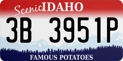 ID license plate 3B3951P