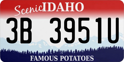 ID license plate 3B3951U