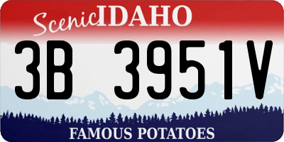 ID license plate 3B3951V