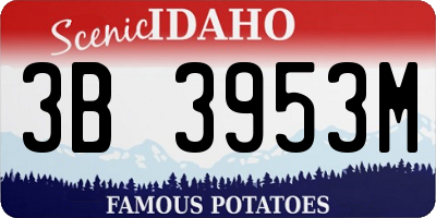 ID license plate 3B3953M