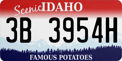 ID license plate 3B3954H