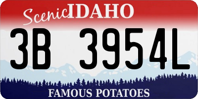 ID license plate 3B3954L
