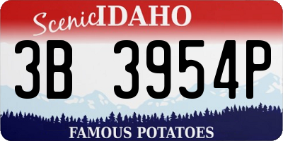 ID license plate 3B3954P