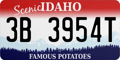 ID license plate 3B3954T