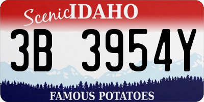 ID license plate 3B3954Y