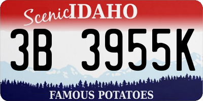 ID license plate 3B3955K