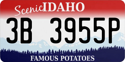 ID license plate 3B3955P