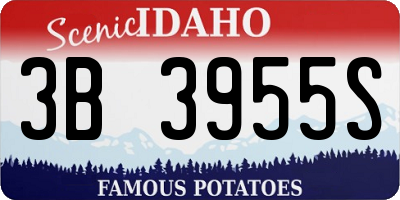 ID license plate 3B3955S