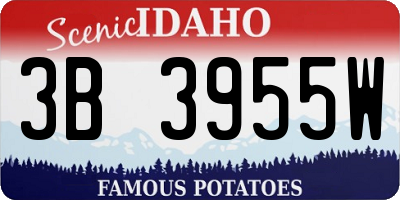 ID license plate 3B3955W