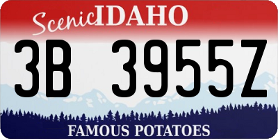ID license plate 3B3955Z