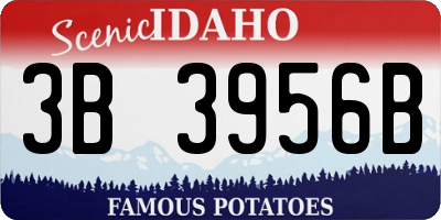 ID license plate 3B3956B