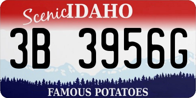 ID license plate 3B3956G