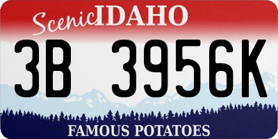 ID license plate 3B3956K