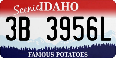 ID license plate 3B3956L