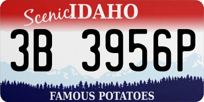 ID license plate 3B3956P