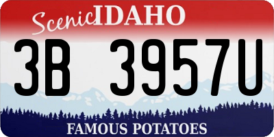 ID license plate 3B3957U