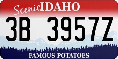 ID license plate 3B3957Z