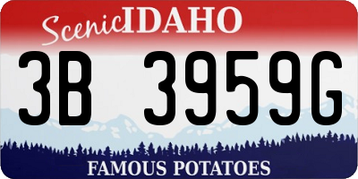 ID license plate 3B3959G