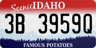 ID license plate 3B3959Q
