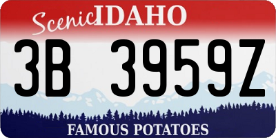 ID license plate 3B3959Z